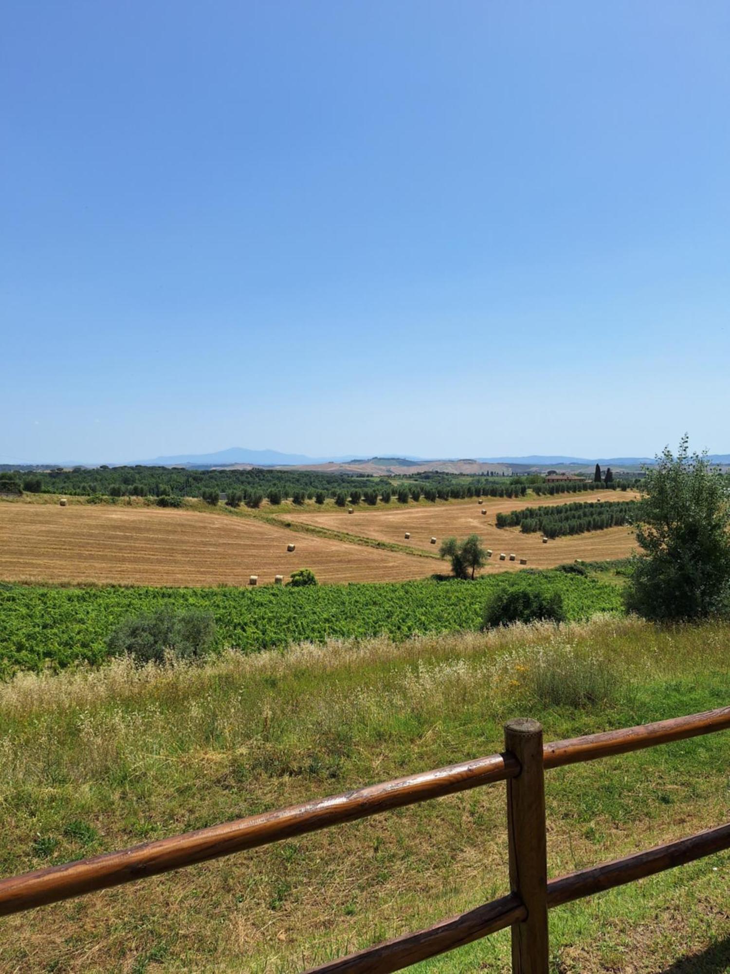 לינה וארוחת בוקר קסטלנואובו ברארדנגה Casa Paola Nel Chianti מראה חיצוני תמונה