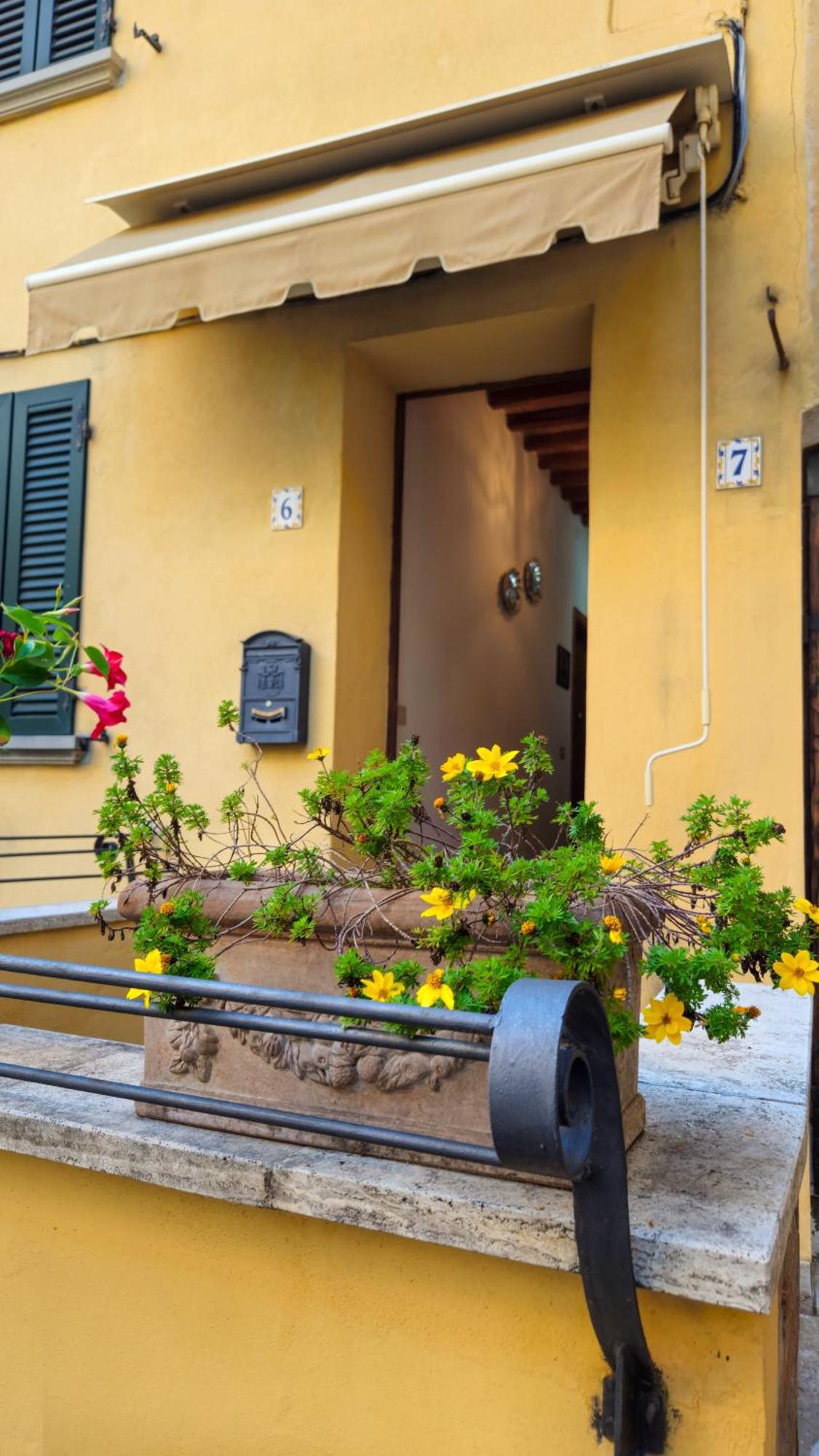 לינה וארוחת בוקר קסטלנואובו ברארדנגה Casa Paola Nel Chianti חדר תמונה